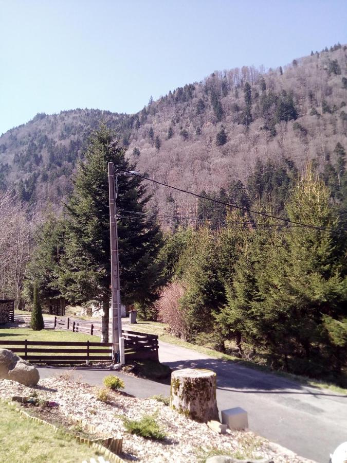 Villa L Annexe Mittlach Esterno foto